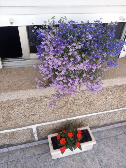 Precioso Apartamento En San Vicente De O Grove سان فيسنتي دي أوغرفي المظهر الخارجي الصورة